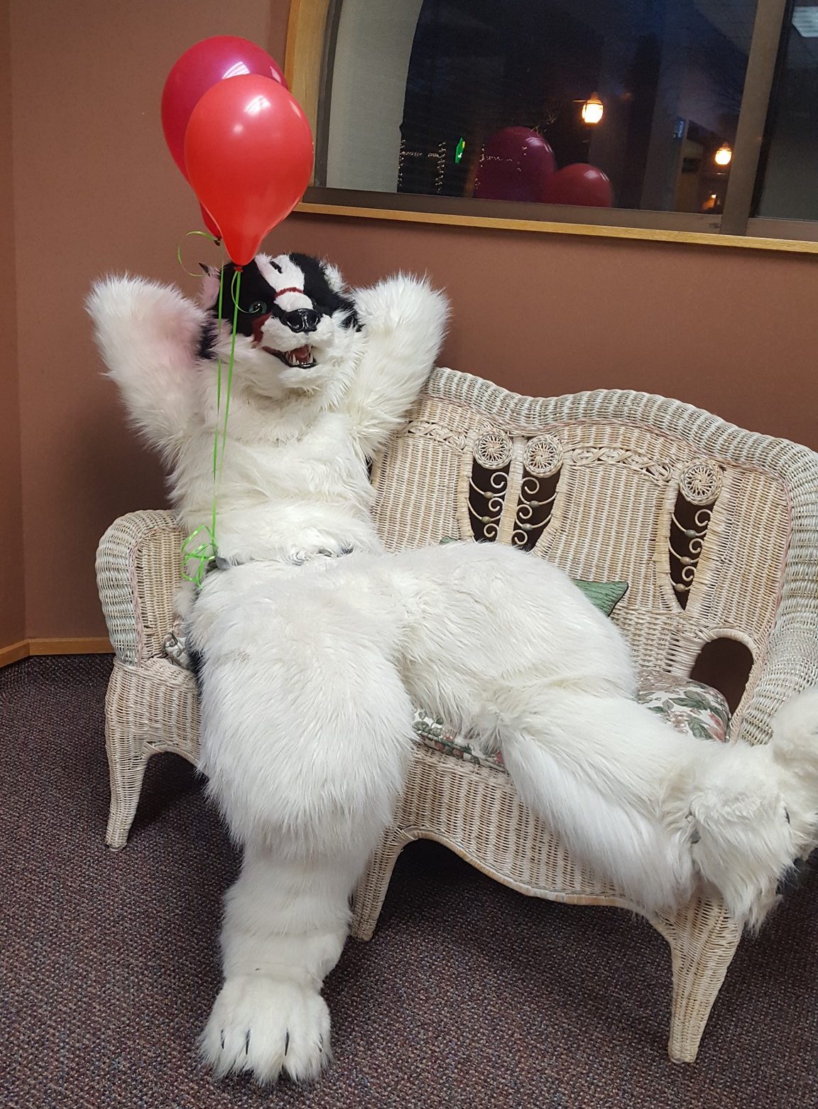 Badger laying in chair